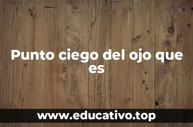 Punto ciego del ojo que es
