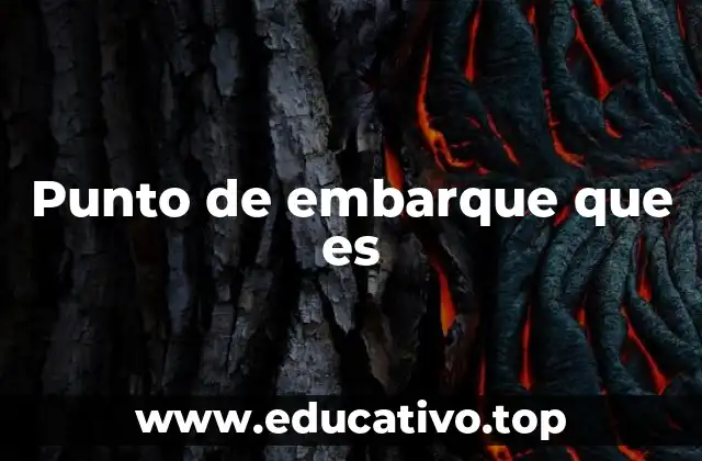 Punto de embarque que es