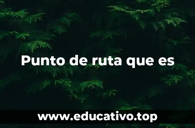 Punto de ruta que es