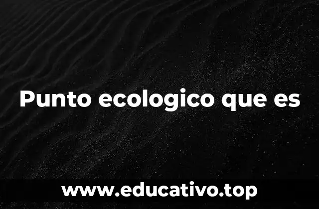 Punto ecologico que es