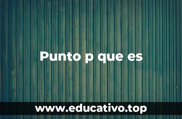 Punto p que es