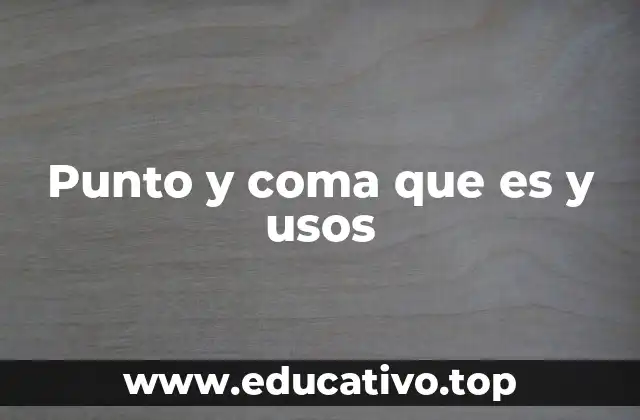 Punto y coma que es y usos