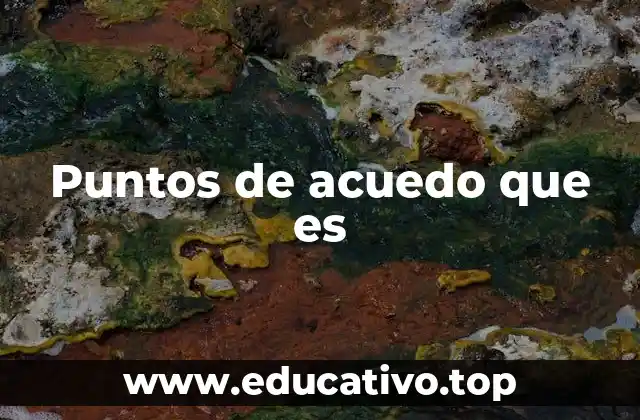 Puntos de acuedo que es