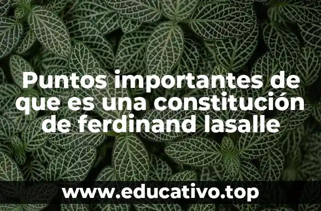 Puntos importantes de que es una constitución de ferdinand lasalle