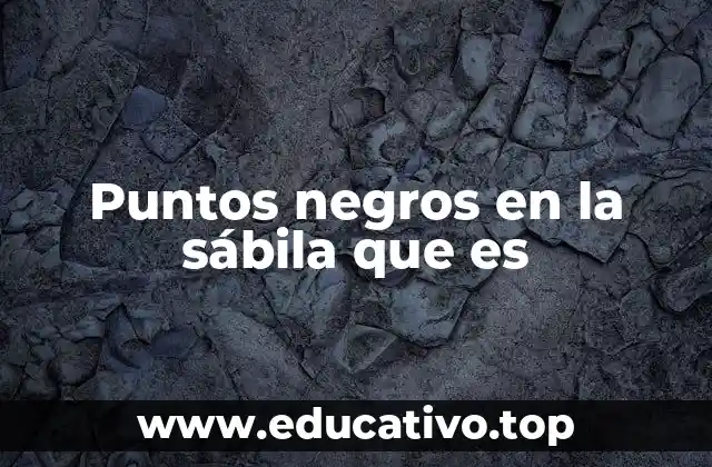 Puntos negros en la sábila que es