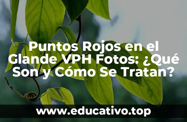 Puntos Rojos en el Glande VPH Fotos: ¿Qué Son y Cómo Se Tratan?