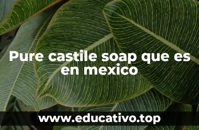 Pure castile soap que es en mexico