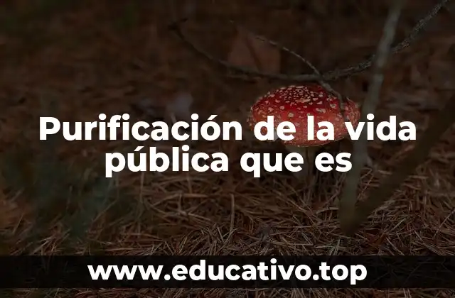 Purificación de la vida pública que es