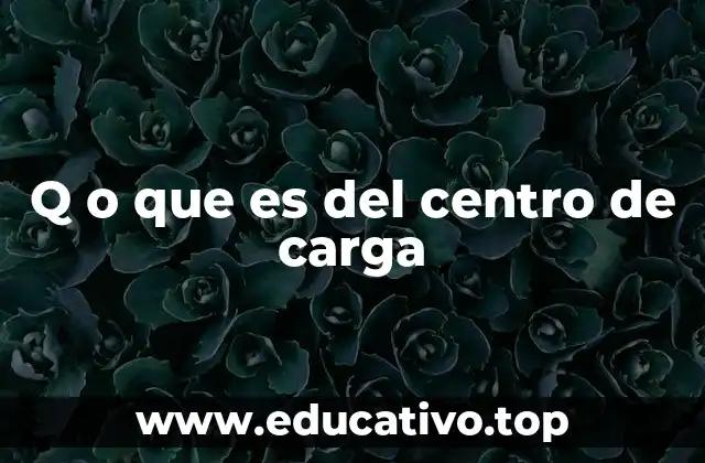 Q o que es del centro de carga
