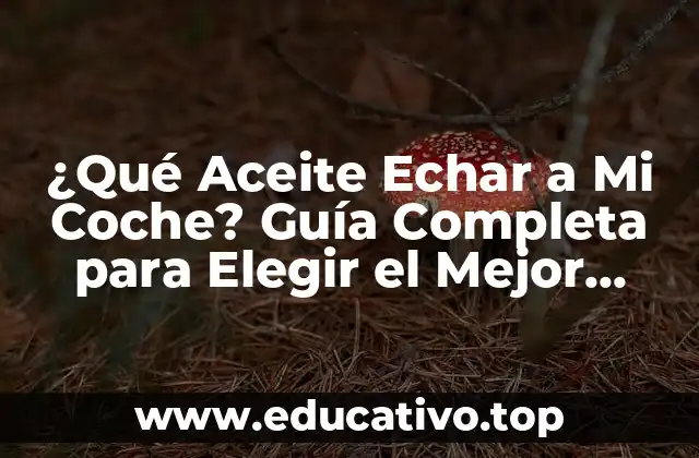 ¿Qué Aceite Echar a Mi Coche? Guía Completa para Elegir el Mejor Lubricante