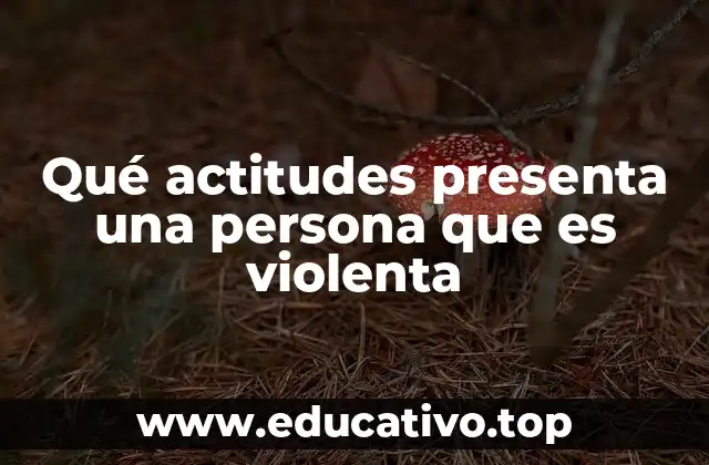 Qué actitudes presenta una persona que es violenta
