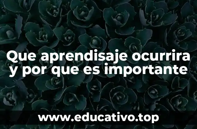 Que aprendisaje ocurrira y por que es importante