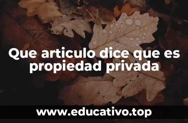 Que articulo dice que es propiedad privada