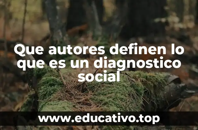 Que autores definen lo que es un diagnostico social