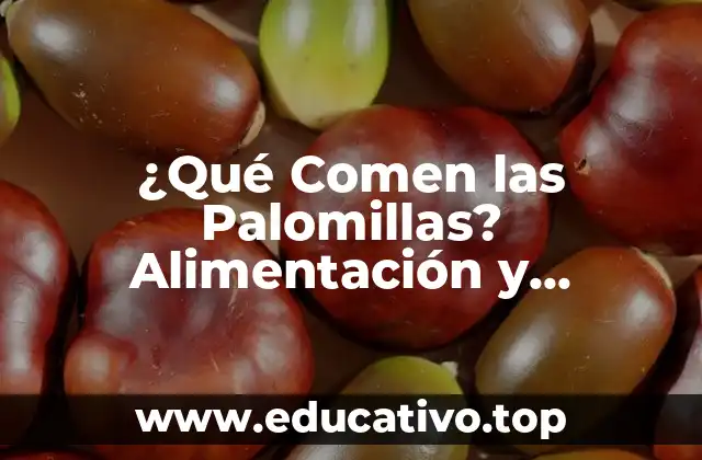 ¿Qué Comen las Palomillas? Alimentación y Nutrición de Estos Insectos