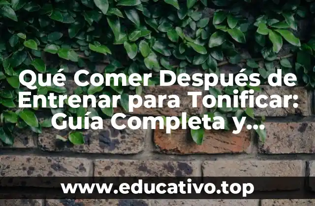 Qué Comer Después de Entrenar para Tonificar: Guía Completa y Optimizada para Mejorar tus Resultados