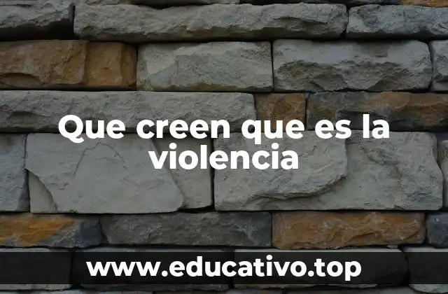 Que creen que es la violencia