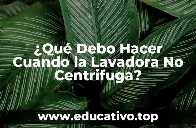 ¿Qué Debo Hacer Cuando la Lavadora No Centrifuga?
