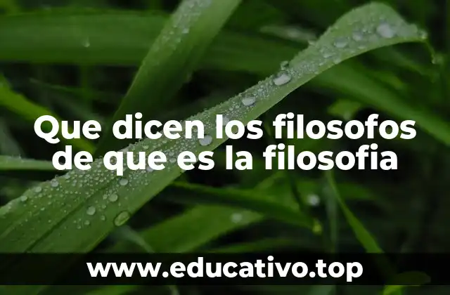 Que dicen los filosofos de que es la filosofia