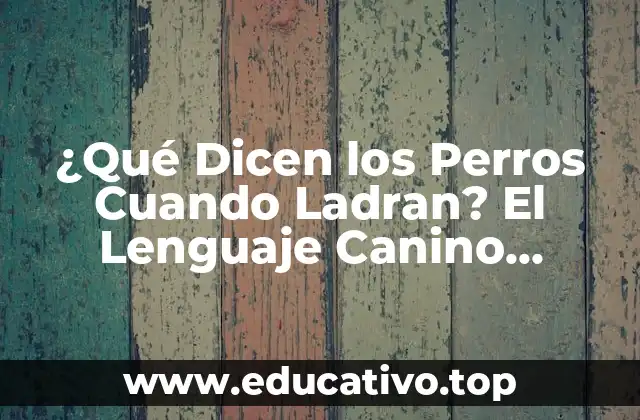 ¿Qué Dicen los Perros Cuando Ladran? El Lenguaje Canino Decodificado