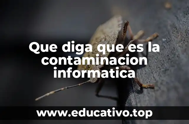 Que diga que es la contaminacion informatica