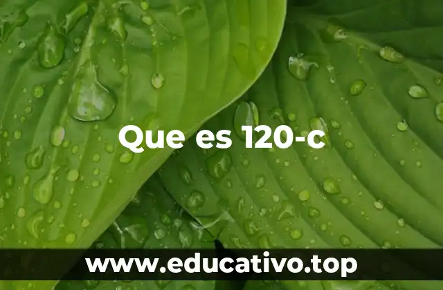 Que es 120-c