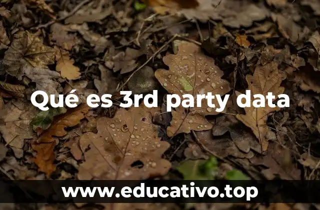 Qué es 3rd party data