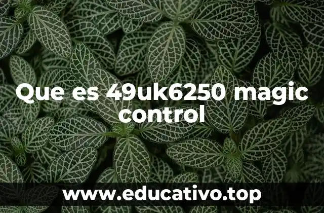 Que es 49uk6250 magic control