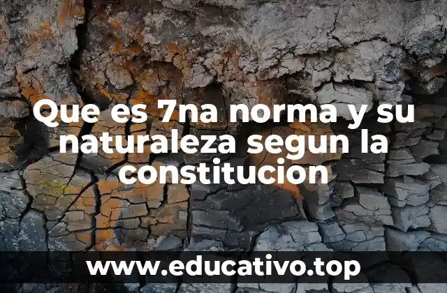 Que es 7na norma y su naturaleza segun la constitucion