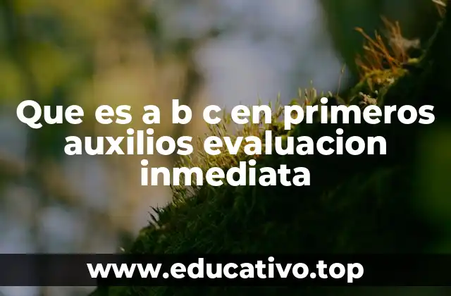 Que es a b c en primeros auxilios evaluacion inmediata