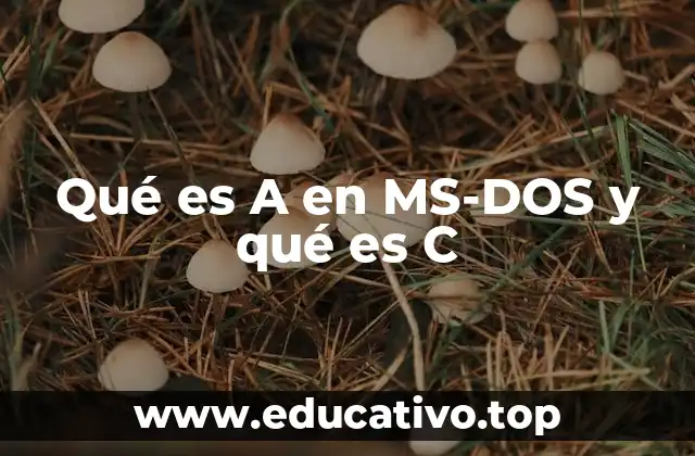 Qué es A en MS-DOS y qué es C