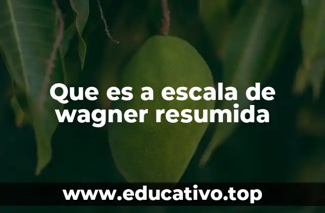 Que es a escala de wagner resumida