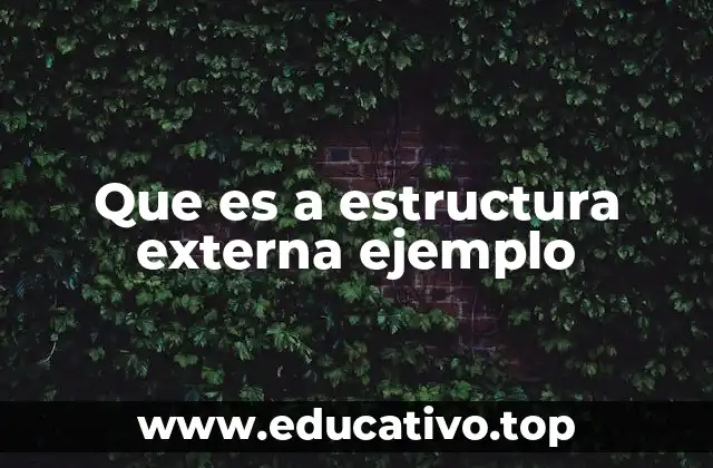 Que es a estructura externa ejemplo
