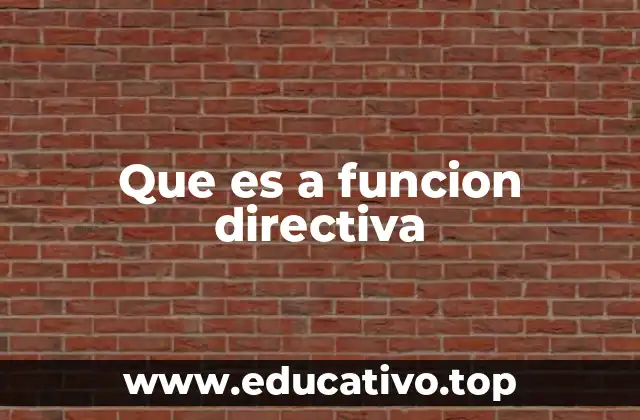 Que es a funcion directiva