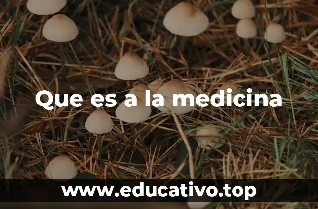 Que es a la medicina