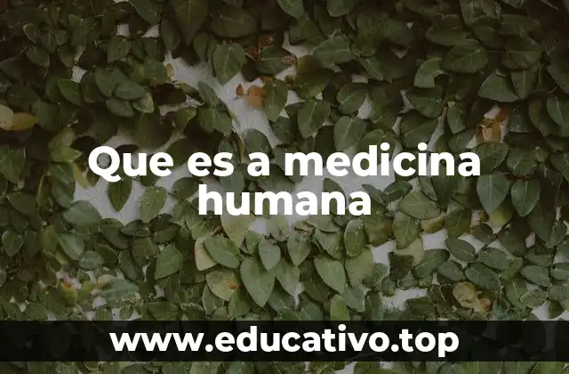 Que es a medicina humana