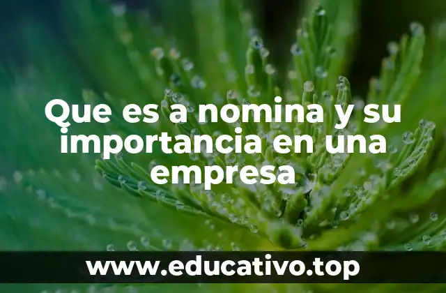 Que es a nomina y su importancia en una empresa