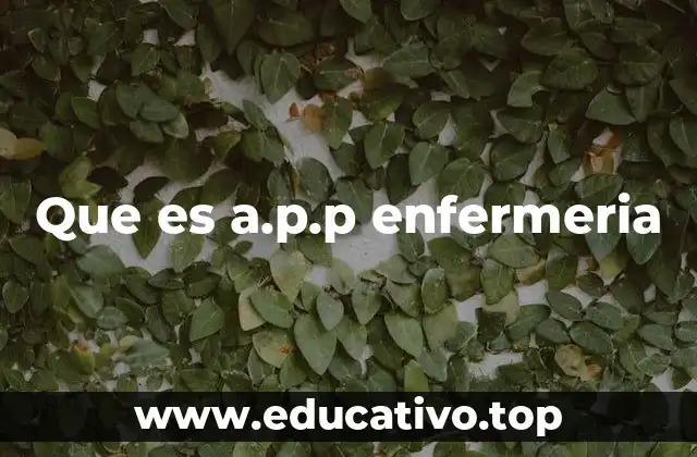 Que es a.p.p enfermeria