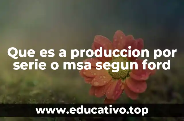 Que es a produccion por serie o msa segun ford
