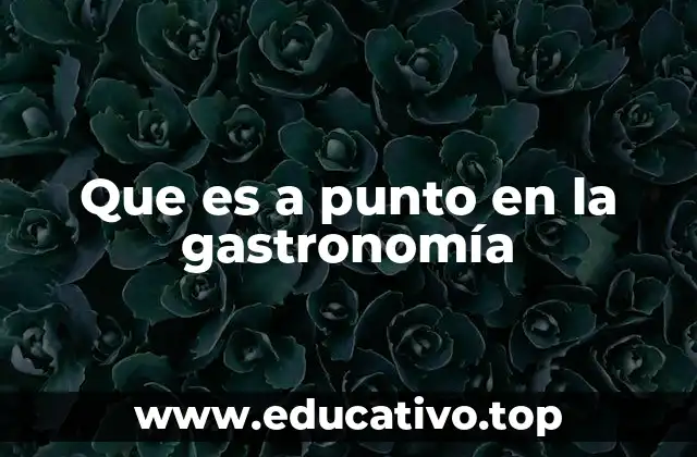 Que es a punto en la gastronomía