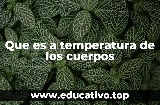 Que es a temperatura de los cuerpos