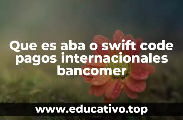 Que es aba o swift code pagos internacionales bancomer