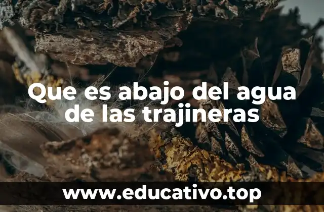 Que es abajo del agua de las trajineras