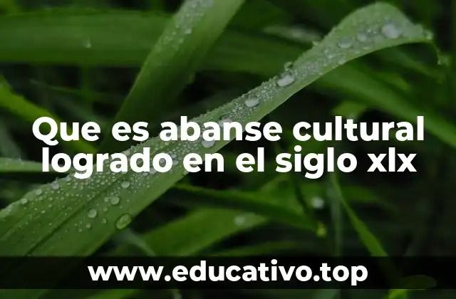 Que es abanse cultural logrado en el siglo xlx