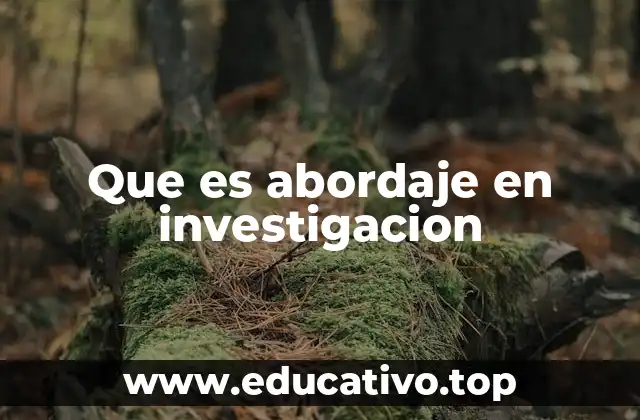 Que es abordaje en investigacion