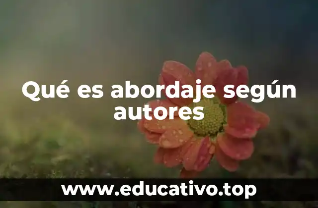 Qué es abordaje según autores