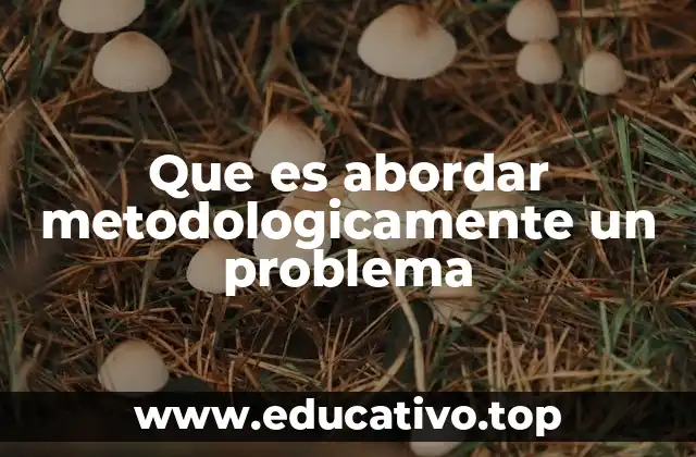 Que es abordar metodologicamente un problema
