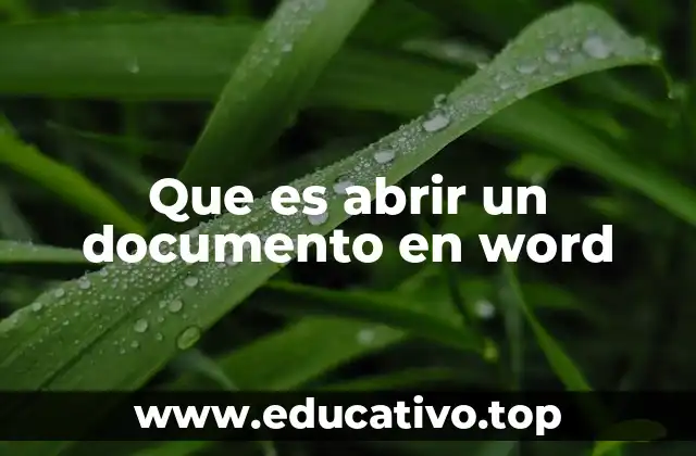 Que es abrir un documento en word