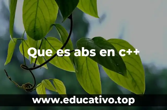 Que es abs en c++