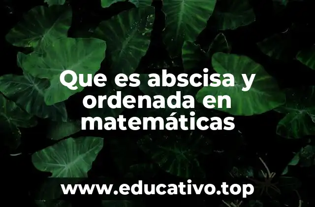 Que es abscisa y ordenada en matemáticas